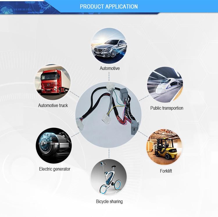 Standard Molex Connector Avss Wire Harness Manufacturer