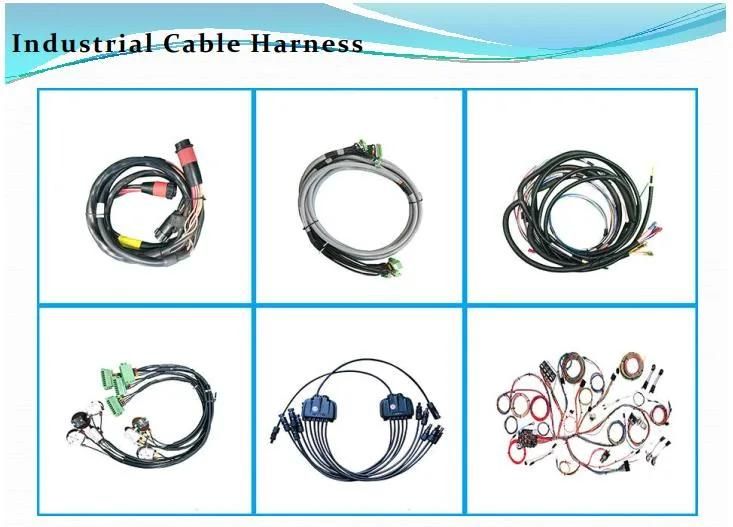 Auto Wire Harness Electronic Cable Assemblies
