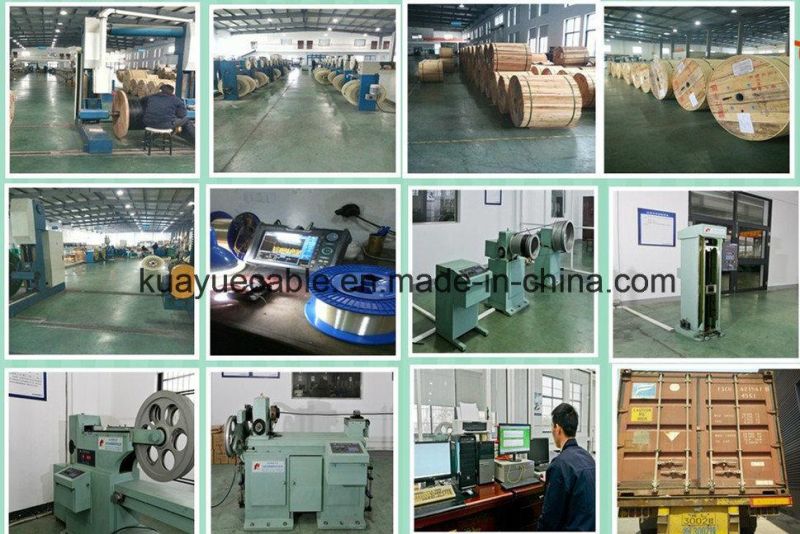 Fig8 Self-Supporting Fiber Optic Cable/Computer Cable/Fiber Optical Cable