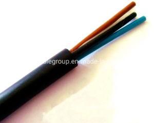 450/750V Low Voltage PVC/PVC Power Cable