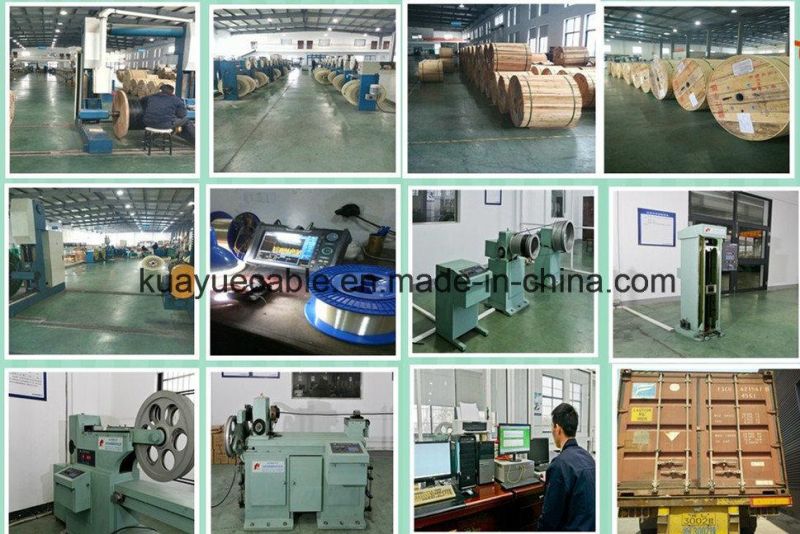 FTTH Drop Wire Fiber Optic/Computer Cable/ Data Cable/ Communication Cable/ Connector/ Audio Cable