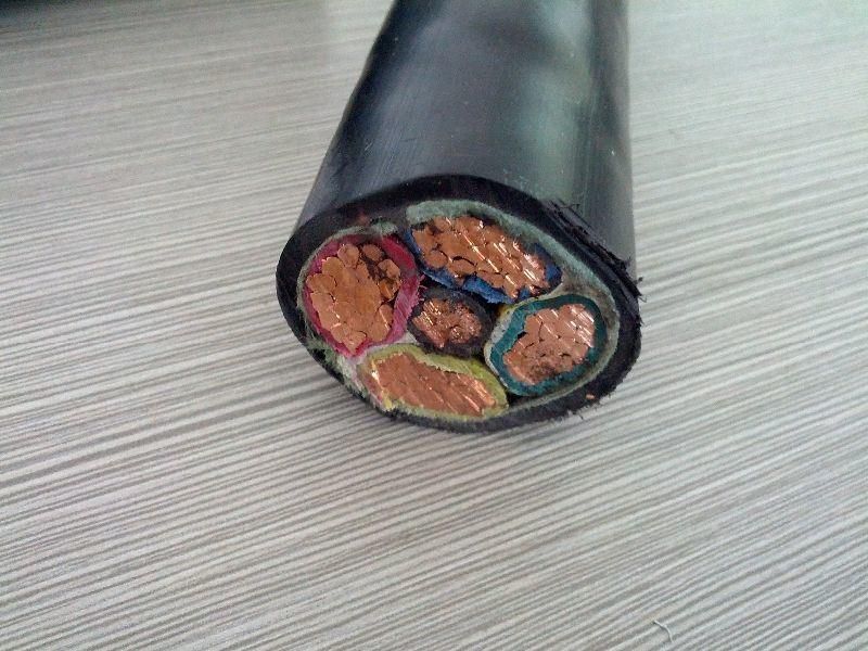 Nyshy Copper Core PVC Insulated Electrical Electric Wire Power Cable