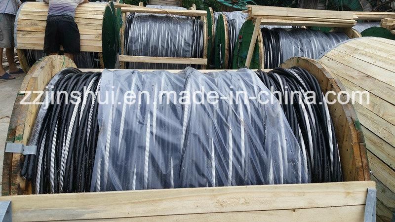 Power Copper Conductor PVC XLPE Insulated Overhead ABC Aluminum XLPE Cable ACSR 3*1 0AWG Neritina
