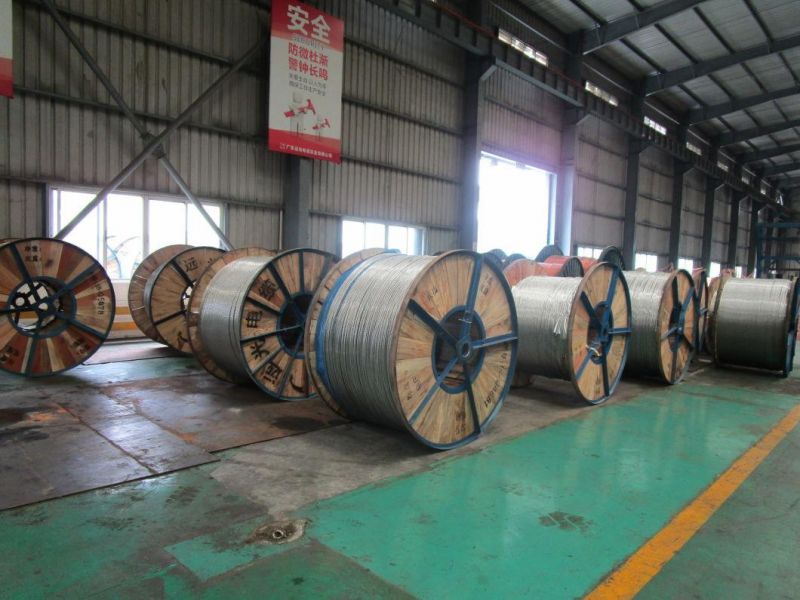 Aluminum Conductor Steel Reinforced. ACSR Conductor