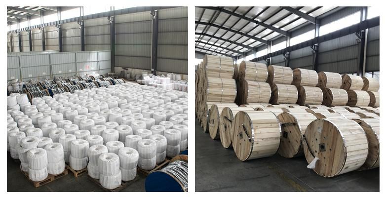 All Aluminum Alloy AAAC 1000mm2 Cable Conductor