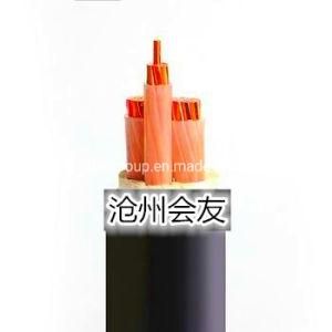 Cross Linked Polyethylene Insulated XLPE/LSZH/Sta LV Power Cable