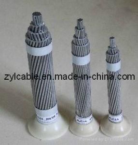 Professional ACSR Cable/Aluminum Conductor Steel Reinforced
