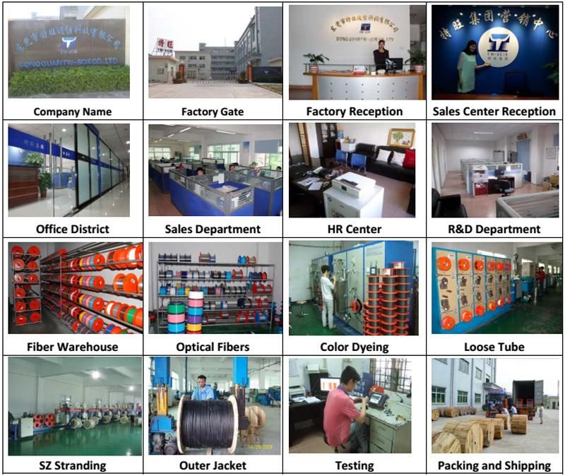 Factory Price 12/24/36 Core Optic Fiber Cable GYFTY