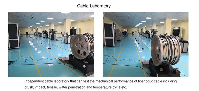 FTTH G657A GJYXFCH GJXFH Fiber Optic Drop Cable Patch Cord