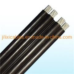 Discount Wire Household National Standard Sheathed Linesrvv2*0.75 Power Cord Pure Copper 2 Core Wire According to Roll