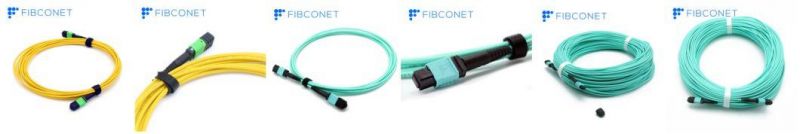 MPO to MPO Female Om3 12/24 Fibers MPO Patch Cord
