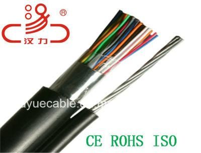 24pair Outdoor Telephone Cable/Computer Cable/Data Cable/Communication Cable/Audio Cable/Connector