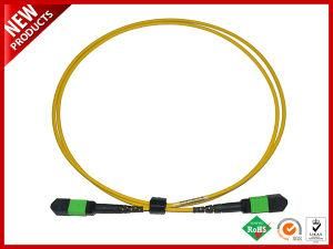 40Gbps Protocol 12 f. o. MT Ferrule Contact Fiber MPO MTP Optic mm OM3 Patch Cable