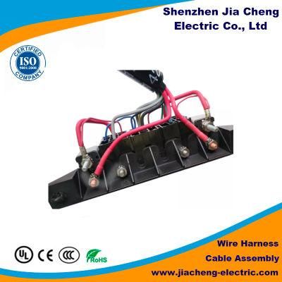 Chinese Professional OEM Fuse Holder and Relay Wire Harness Wiring Harness