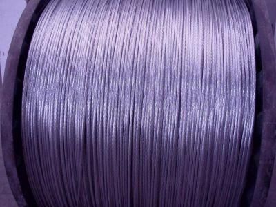 All Aluminum Alloy Conductor (AAAC)