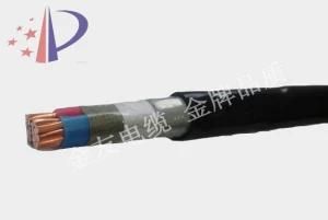XLPE Insulted Copper Conductor Electric Cables (YJV 2*50mm2)