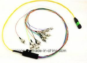 Fiber Optic MPO-FC Patch Cord
