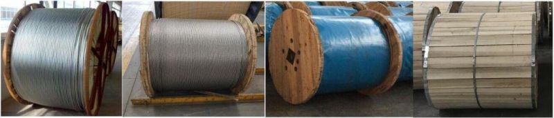 AAC AAAC ACSR Steel Wire Bare Conductor Electrical Earth Wire Manufacturer
