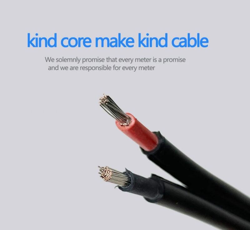 House Wire 2X2.5 mm2 Electric Copper Electrical Solar Power Cable XLPE Wiring Accessories China for Solar Panel