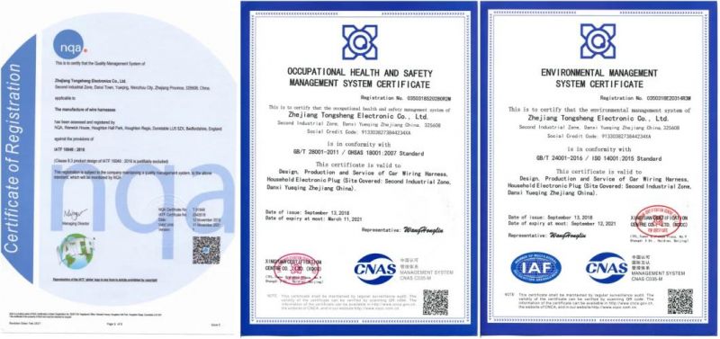 Tscn Electrical Automobile Automotive Customized Wire Harness