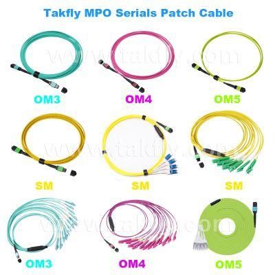 12/24 Cores MPO MTP Sm Om3 Om4 Om5 Fiber Optic MPO Fiber Cable