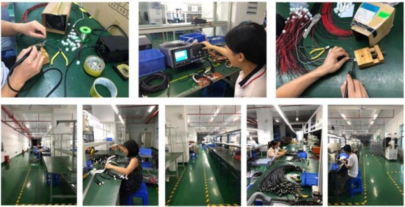 Customized Cable Assembly Wire Harness for Automobile
