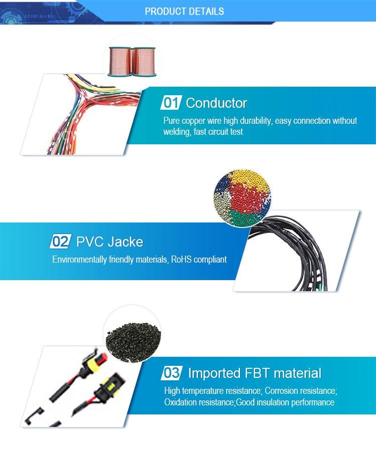 Youye Customized Auto Electric Engine Wire Harness Cable Assembly