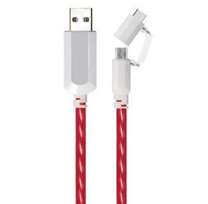 2 in 1 EL Visible Type-C to Micro USB Flowing Flat Cable Ldf005