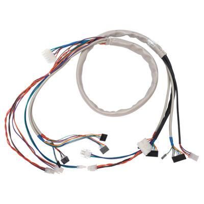 ODM Molex/Jst/Amphenol/Dt Connector PVC Pipe Electrical Construction LCD Panel Battery Cable Harness