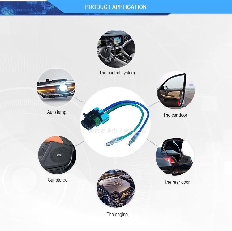 OEM Factory Car Lamp Cable with 2p Waterproof Connectror