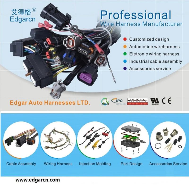 Electric Injection Molding with PCBA Control Cable and Sr Assembly Plastic Box