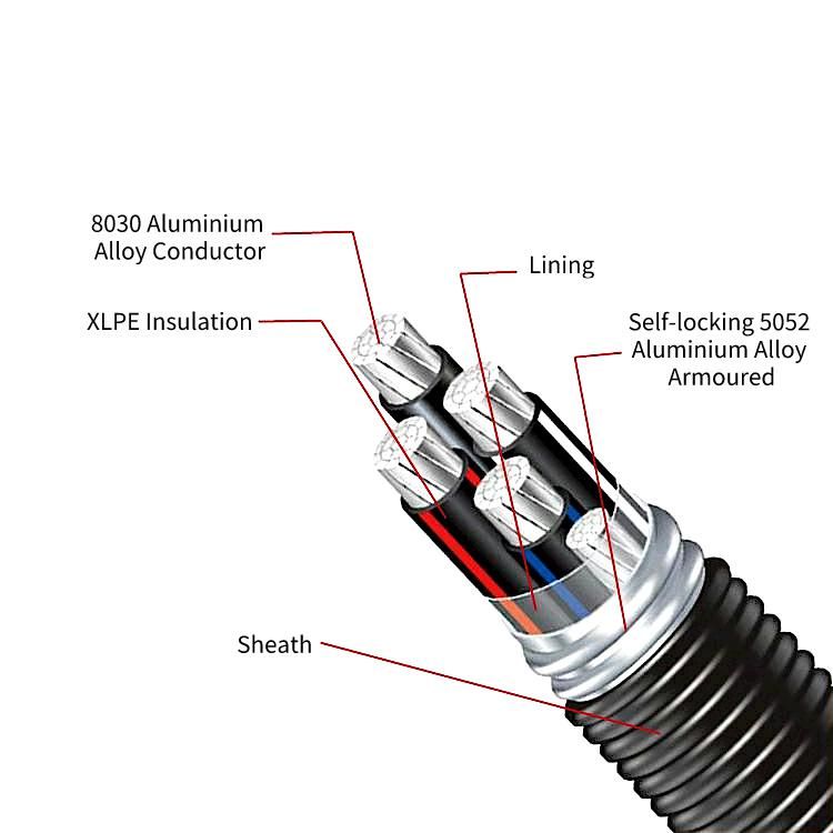 Aluminium Alloy Armoured XLPE Insulated Cable 12/2 12/3 14/2 Size Armoured Interlocked Power Cable
