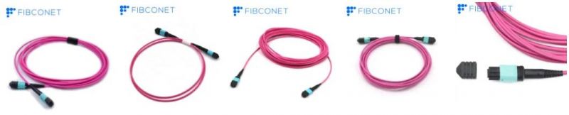 Fiber Optical Assemblies MPO MTP Om4 Trunk Cable