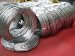 High Quality Galvanized Iron Wire Good Soft Quality Supplier