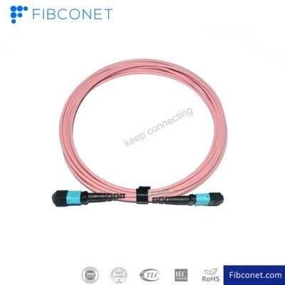 Om3 Om4 12 Core LSZH G657A Factory Price Round Fiber Optic Patch Cord 40g MPO