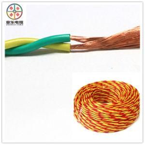 PVC Copper Wire Twisted Electric Wire (300/300V)