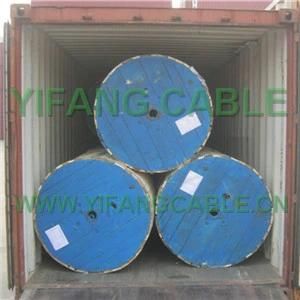 1 Core Copper Conductor Aerial Service Concentric Cable