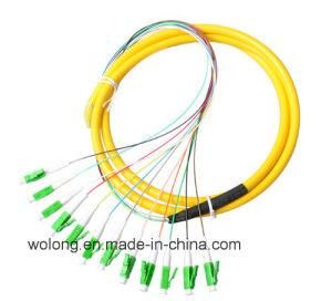 LC/APC 12 Core Fiber Optic Pigtail