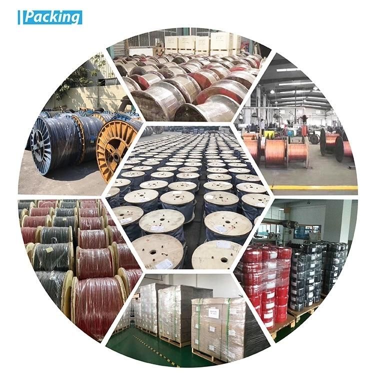 Professional XLPE Insulated Power Copper Cable Manufacturer / Multi Core Electrical Cable