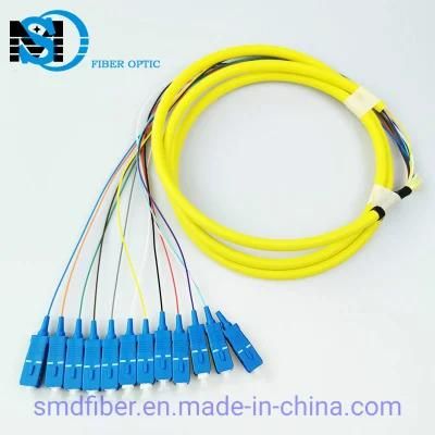 Sm Sc/Upc12 Core Fiber Optic Pigtail for FTTH