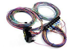 21 Circuit Chassis Harness, Customizable