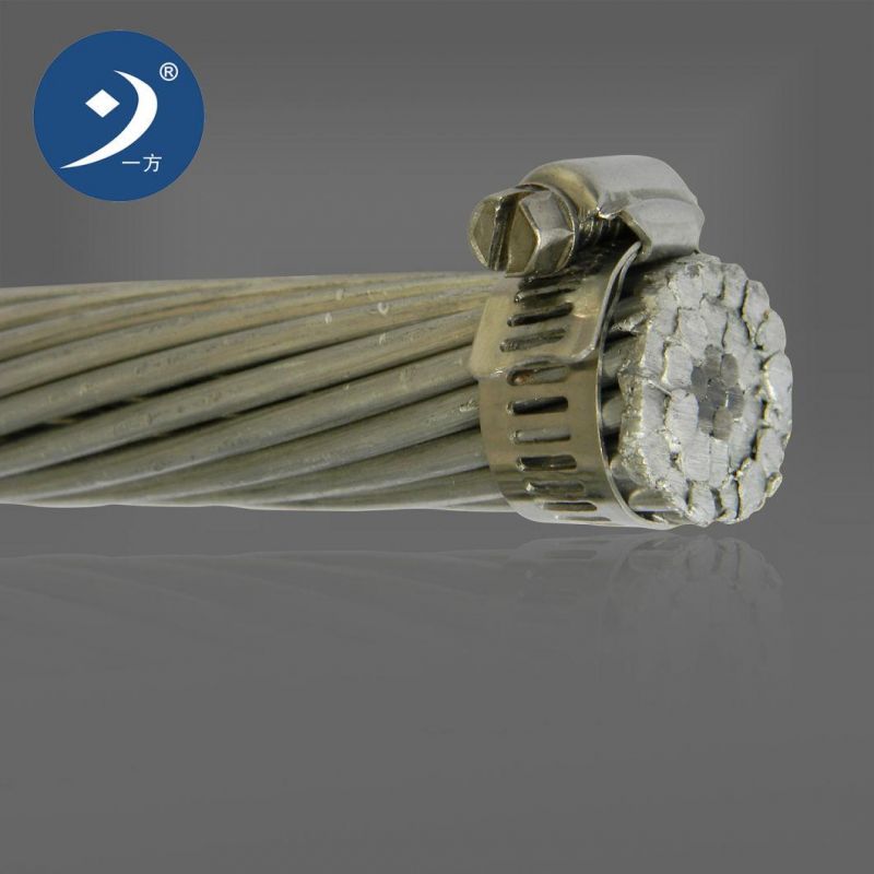 ACSR AAC AAAC Aluminum Bare Conductor for Overhead Transmission