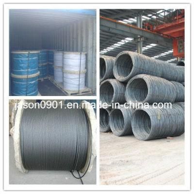 1X19 Stainless Steel Wire Rope, Steel Wire Rope