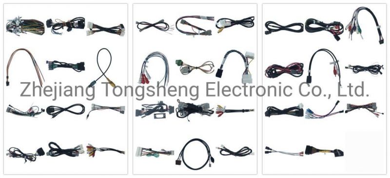 Tscn Wire Harness USB+3.5 Jack Automotive Customized Wire Harness