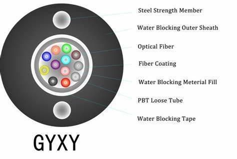 Central Loose Tube Glass Armid Yarn PE Sheath Non-Armored Fiber Optic Cable (GYXY) 2 4 6 8 10 12 Core