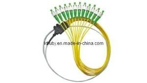 Ribbon Pigtail China Supplier