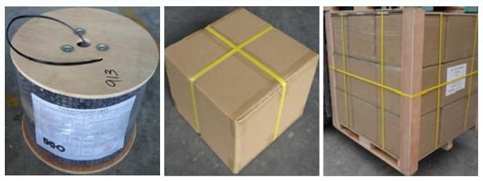 2 Cores Indoor Optical Fiber Armored Cable Fiber Cable