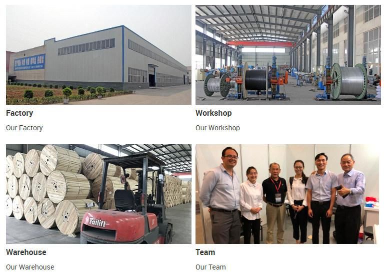 0.6/1kv Electric Aluminum Conductor PVC/XLPE/PE Insulated PVC Sheathed Low/Medium Voltag Electrical Power Cable