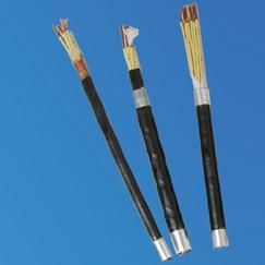 Plastic Insulted Control Cable