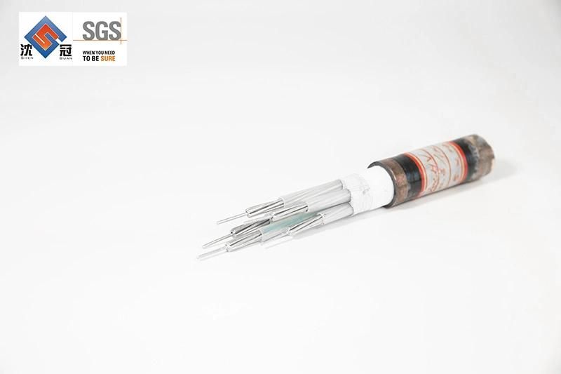 Shenguan Wire Cable Superflex Tinned Copper Conductor 4/0 3/0 2/0 1/0 AWG Rubber Flexible Welding Cable